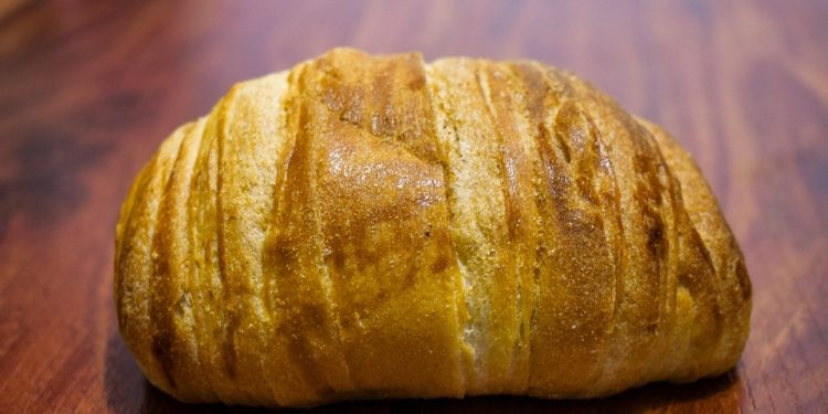 Power Up Your Muscles with These Top 10 Protein Rich Foods for Building Strength